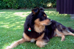 Bild-003