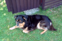 Bild-004
