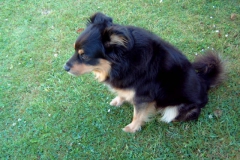 Bild-006
