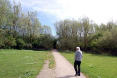 Groede029