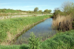 Groede031