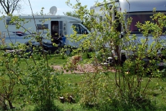 Groede038